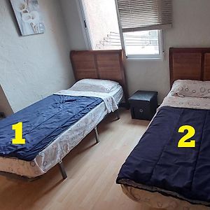 First Line Apartment